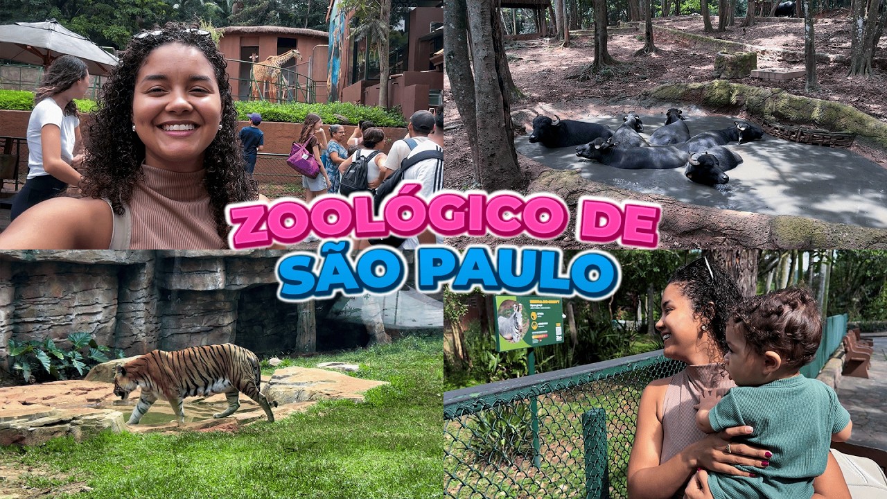 Nosso Passeio no Zoológico de São Paulo 🐯✨ | Vlog Completo