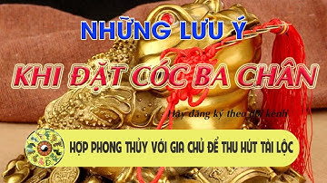 Những lưu ý khi đặt cóc ba chân hợp phong thuỷ với gia chủ để thu hút tài lộc