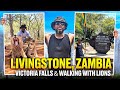 My Livingstone, Zambia Adventure | Victoria Falls, Lion Walk & Zambezi Sunset Cruise