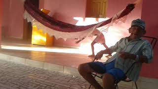 Samuel Dando Estrelinha