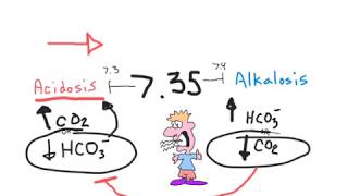 ch26 concept review