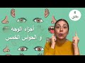 تعلم اجزاء الوجه و الحواس الخمسة للاطفال باللغة العربية                                       