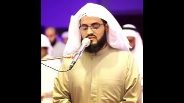 رعد محمد الكردي_ حالات واتس اب دينية_ سورة النمل_ قيل لها ادخلي الصرح......