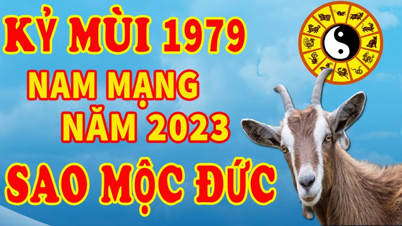 Tử vi tuổi Kỷ Mùi 1979 năm 2023: Làm ít vẫn có tiền tiêu