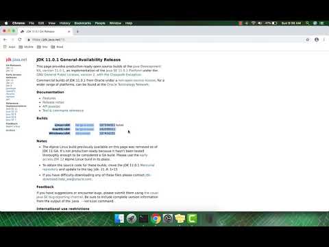 How do I install OpenJDK 11 on Mac OS? | Easy Way | 2 Minutes