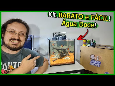 Vídeo: 5 dicas para iniciar um aquário de água doce: além do guia de configuração