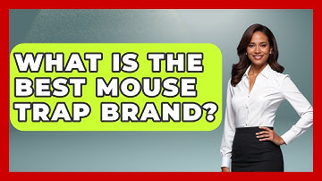 What Is The Best Mouse Trap Brand? - Insects and Invaders