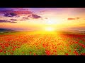 Boost positive energy peaceful meditation music stress relief