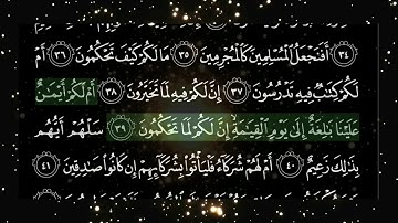 سورة القلم الشيخ هاني الرفاعي