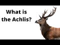 The Achlis - Creatures of Roman Mythology