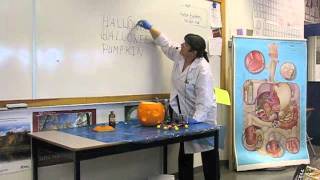 Pumpkin spew