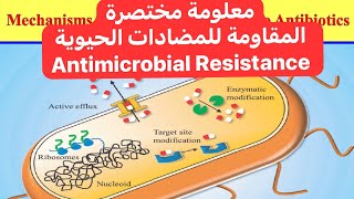معلومة ميكروبية مختصرة (المقاومة البكتيرية للمضادات الحيوية) Antimicrobial Resistance in Bacteria