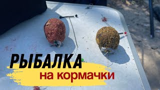 картинка: РЫБАЛКА НА КОРМАЧКИ. РЫБАЛКА И ОТДЫХ НА РЕКЕ С МАЛЫМ ТЕЧЕНИЕМ.
