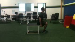 Single Leg Squat to Box (Eccentric Only)