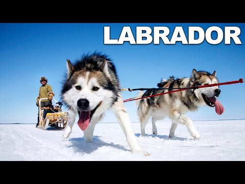 Survivorman | Labrador | Season 2 | Episode 3 | Les Stroud