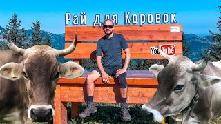 Куда пойти в Германии? Альпийские Луга. Поход в Горы.