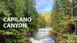 Capilano Canyon Trails North Vancouver, BC   4K Virtual Hike