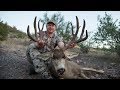 Deer Hunting, Forked Cheater Mexico Mule Deer