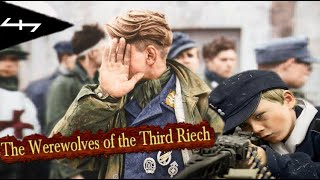 The Werewolve: The Last Desperate Resistance of the Germans in WWII