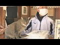 2月22日は「猫の日」　うどん店と古書店の人気“看板猫”を紹介　香川