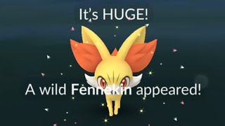 Backlog XXL Fennekin in Overseas Articuno Raid Smurf POV 2 🇮🇹🇪🇺🌍❄️🪽🐦