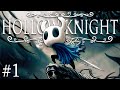 CI GIOCO per la PRIMA VOLTA - Hollow Knight ITA #1