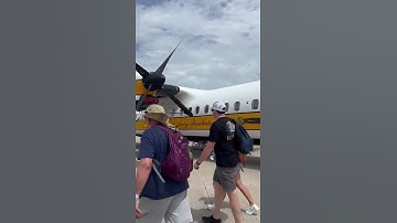 Can you identify this iconic aircraft just from a close-up?