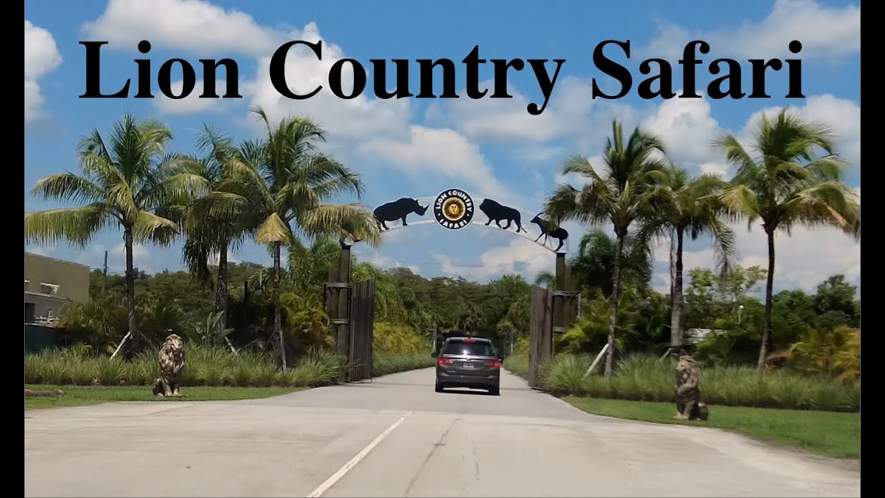 Lion Country Safari Park Amusement Park Part 1 YouTube