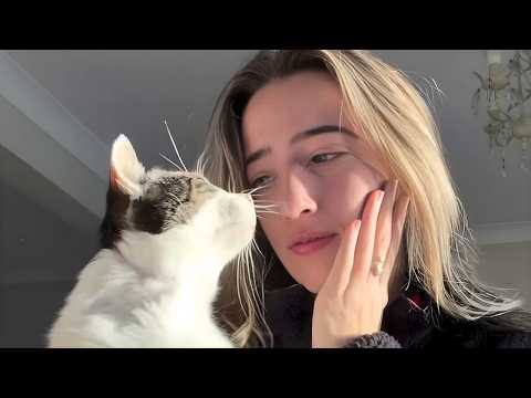 Alle hielten diese Streunerkatze für furchtsam – bis sie ihr wahres Herz zeigte