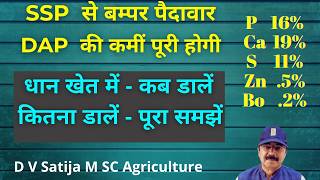 DAP VS SSP | सिंगल सुपर फास्फेट | SSP से बम्पर पैदावार | P Ca S Zn Bo | 