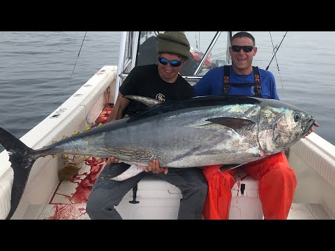 Bluefin Tuna Fishing (Most Expensive Fish that Swims)