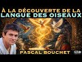A la découverte de la Langue des Oiseaux | Pascal Bouchet