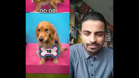 Find your Dog,win $10,000 #mrbeast #duet #edit #shorts #viral #subscribe