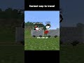new way to travel #minecraft