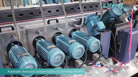 LiFeng--02/Full Automatic Double Edger line