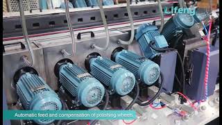 LiFeng--02/Full Automatic Double Edger line