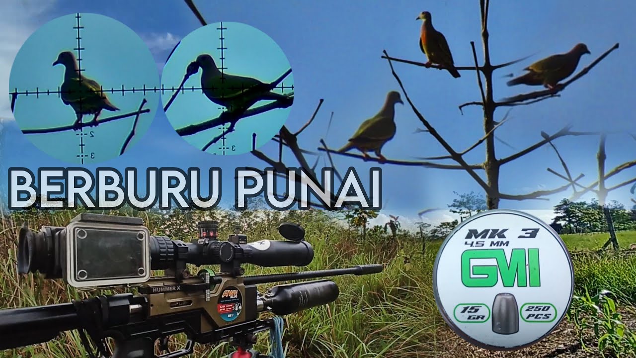 ❗ BERBURU PUNAI PAKAI SLUG 15 GR // HUMMER X / EKEN H9R