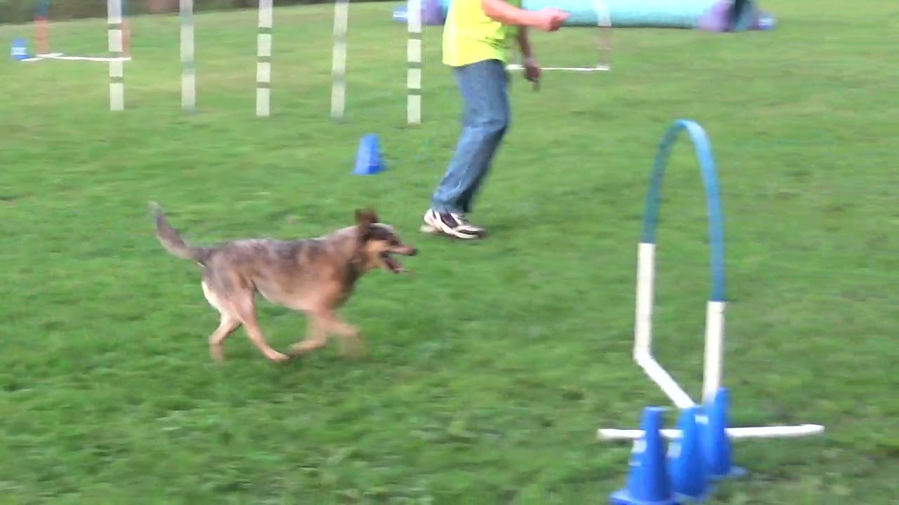 cali busted elite weavers 1