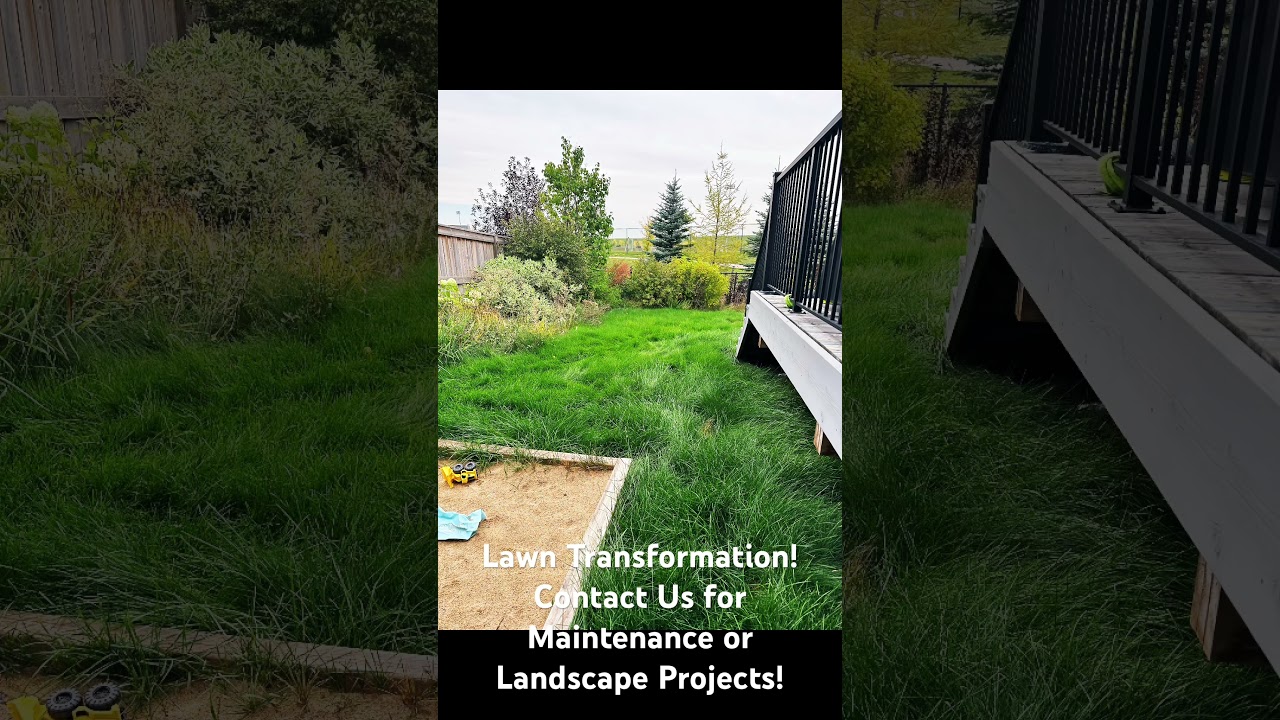 Call Limitless Services for all of your Maintenance and Landscaping needs!