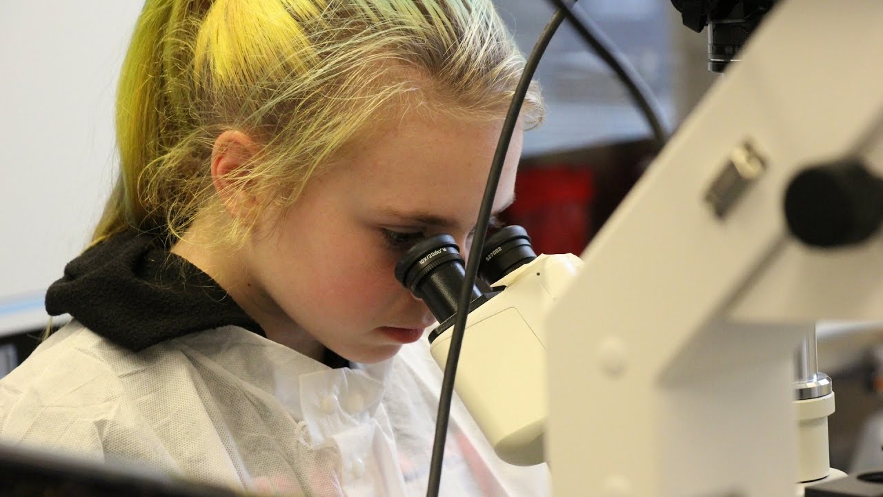 Lab Visits Encourage Girls to Pursue Science YouTube