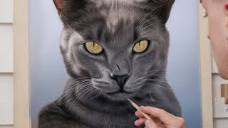 Photo-Realistic Cat Portrait Drawing Time-Lapse - Soft Pastel HD by Shaymus Art Tutorials 2,378 views 2 years ago 6 minutes, 55 seconds