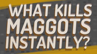 Celebrity What kills maggots instantly? Net Worth