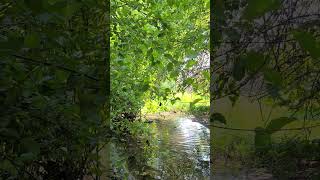 Healing Waters and Sparkling Lights at Troutman Park, Fort Collins, Colorado.