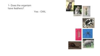 5.5.5 Apply and design a dichotomous key for a group of up to eight organisms