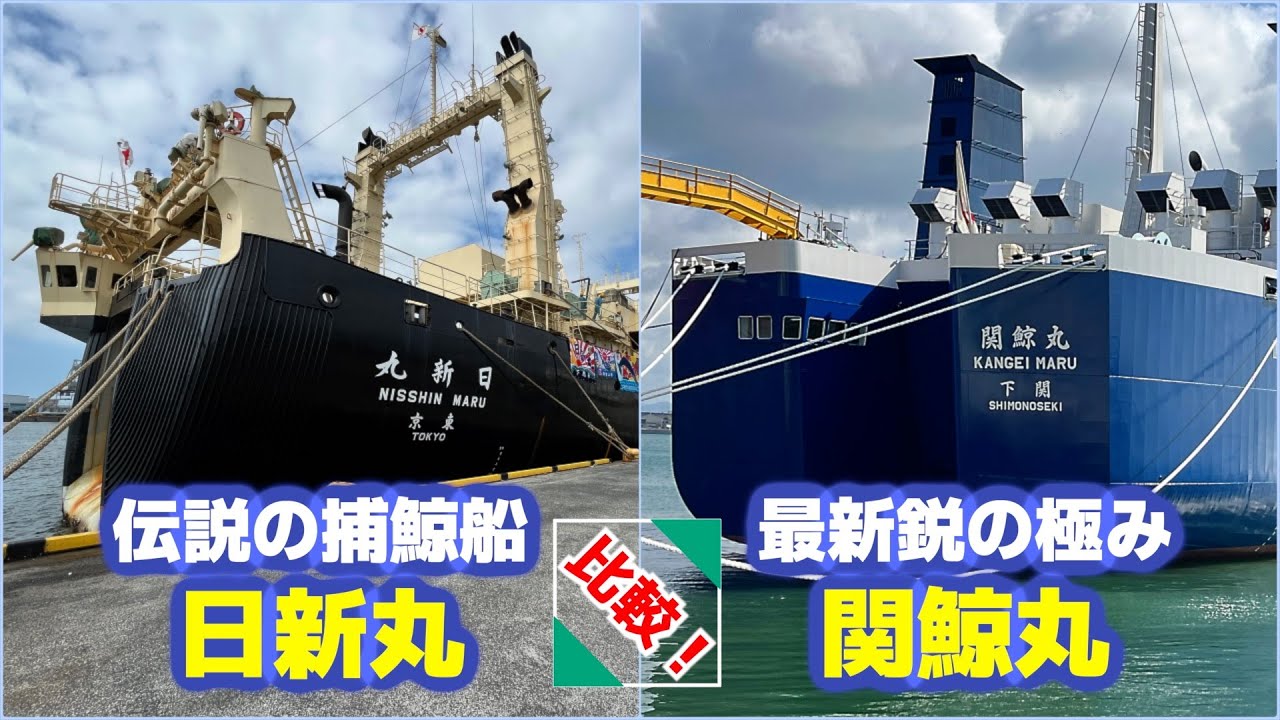 日新丸＆関鯨丸】日本が誇る捕鯨母船2隻のスペックを新旧比較…クジラ肉