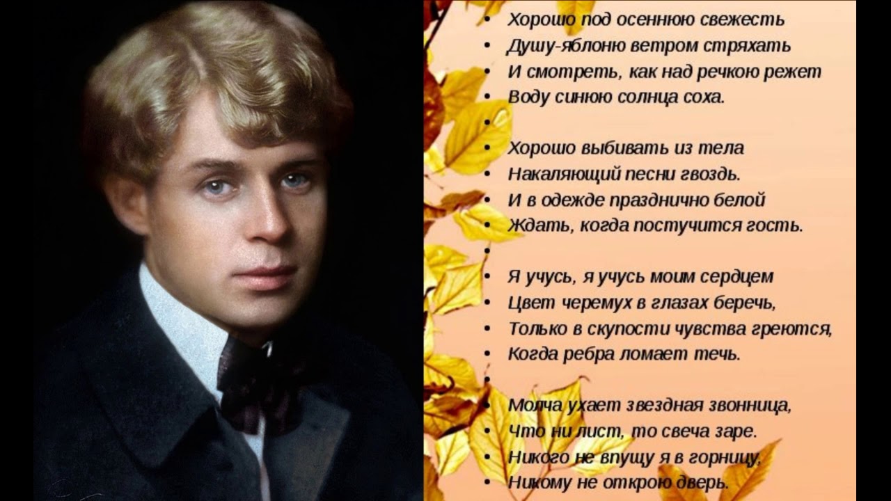 Есенин популярные стихотворения