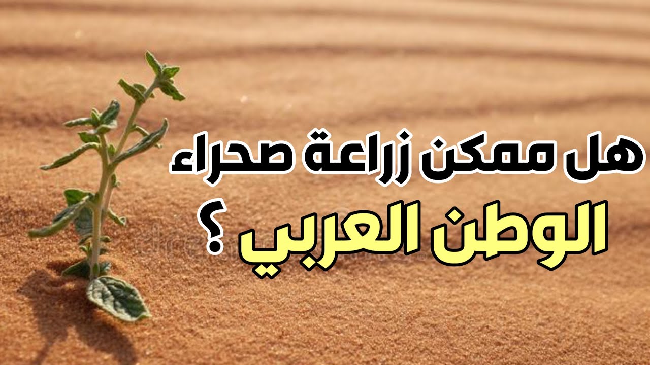 هل ممكن زراعة صحراء الوطن العربي ؟ | هل فشلت تجربة اكبر دولة فالعالم في مواجهة التصحر ؟