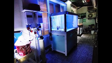 Chai พระราม 2-28 ภาค 2 : Overflow Full Services ตู้ปลา 60+48 พร้อม O4FS อ่างปลากลม/กรองบน Set 4