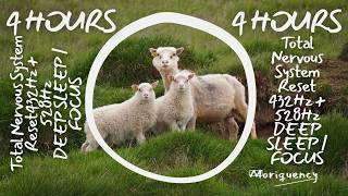 4-Hour Live Meditation | Total Nervous System Reset • 432Hz + 528Hz Deep Healing