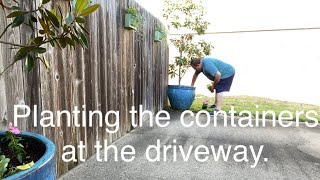 Planting the driveway containers and the wall baskets. by Horticulture Geek 489 views 11 months ago 13 minutes, 52 seconds